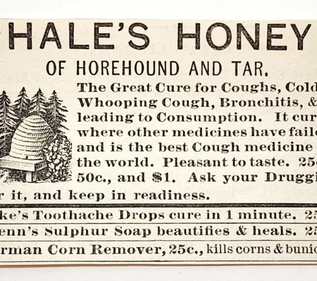 1885 Medical Hale's Honey Horehound Quack Medicine Advertisement Victorian 2