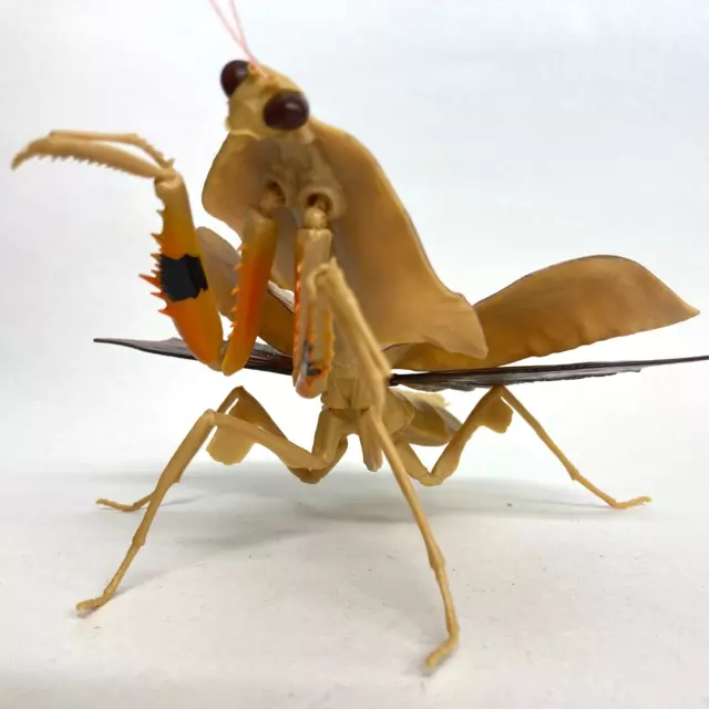 【Used】 Bandai Gashapon Mantis 02 Action Figure 02 Dead Leaf Mantis Light Brown