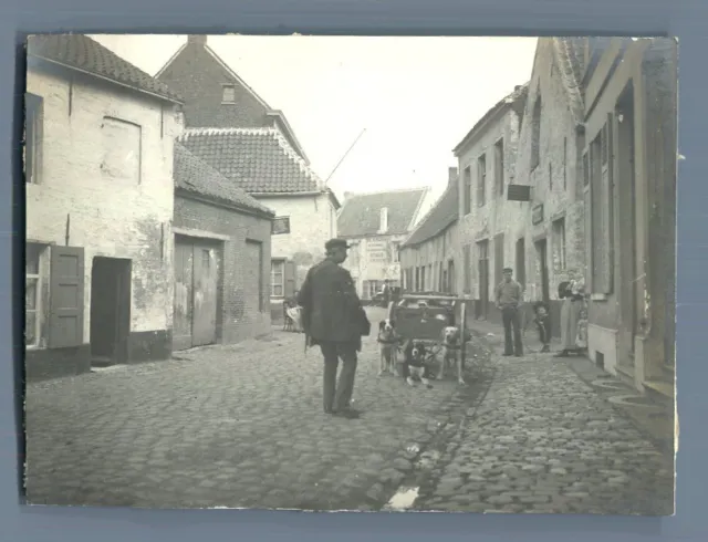 Belgique, Laitière Flamande, Attelages aux chiens  Vintage silver print. Vintage