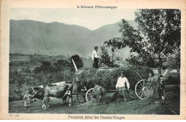 68 - ALSACE - SAN27424 - Fenaison dans les Hautes Vosges - Agriculture