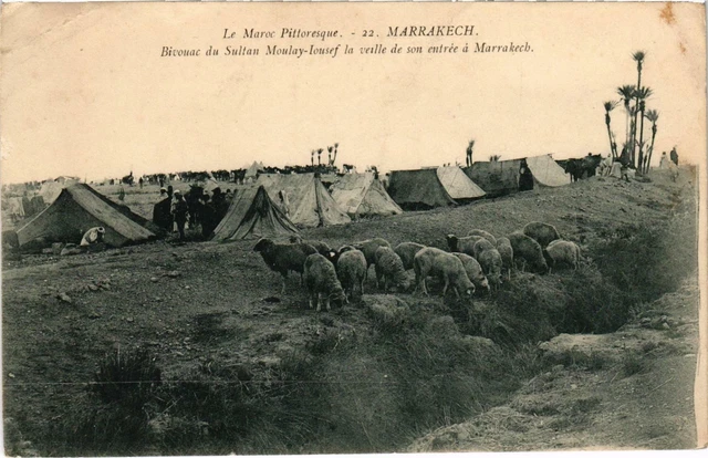 CPA AK MAROC - Marrakech - Bivouac du Sultan Moulay-Iousef (93116)