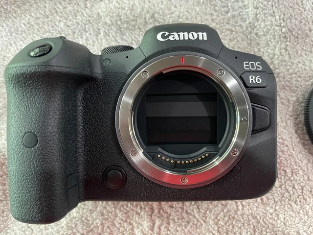 Canon EOS R6 Full-Frame Mirrorless Camera