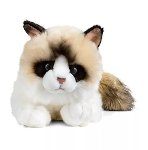 Living Nature Ragdoll Cat Kitten 24Cm An567 Soft Cute Cuddly Plush Toy Teddy