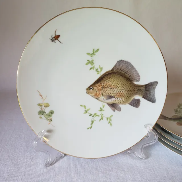 Bareuther Waldsassen Fish Plates Bavaria Germany Vintage Discontinued 7.75" - 5 3