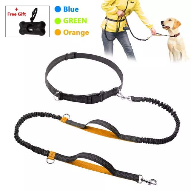 Correa Para Perro Manos Libre Canicross Footing Paseo Elástica Reflectante 180cm