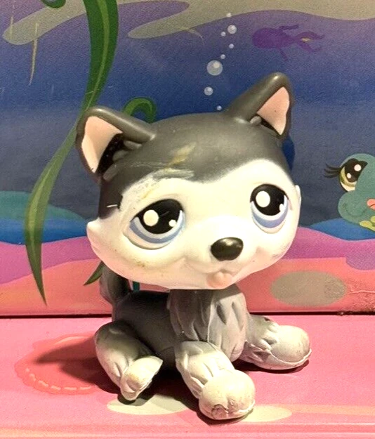 Littlest Pet Shop LPS Authentique #2110 Violet Yeux Bleus RARE Lot 117