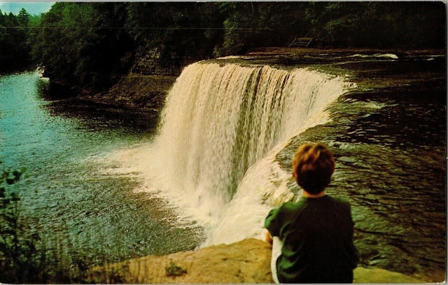 Tachquamenon Falls Luce County Upper Peninsula Michigan Postcard Unposted Vtg