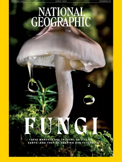 National Geographic Magazine - April 2024 - Fungi - Brand New