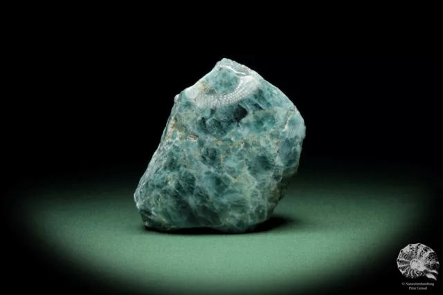 Apatit Madagaskar Anschliff Mineral Sammlung Stufe Kristall Deko deco