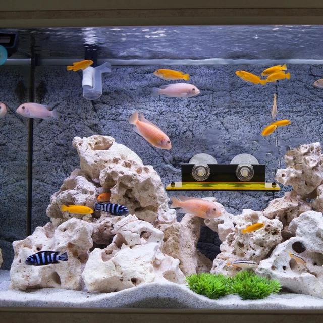 Fish Tank Bracket Holder Coral Frag Rack Fish Tank Coral Support Plug