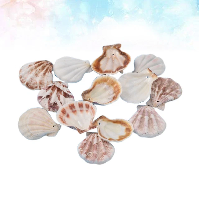 1 paquete 500g natural Big Shell hazlo tú mismo artesanía encanto para decoración principal playa