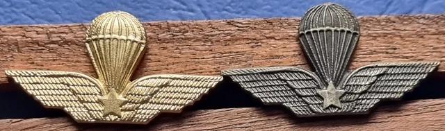 Icona Della Bandiera Degli Stati Uni Blu E Rossa A Righe Con Un Simbolo Di Stella 133475267 - Foto 12