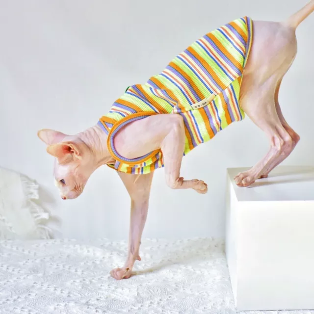 Sphinx.Apparel Multicolor Stripe Cotton Tank Top for summer skin protection