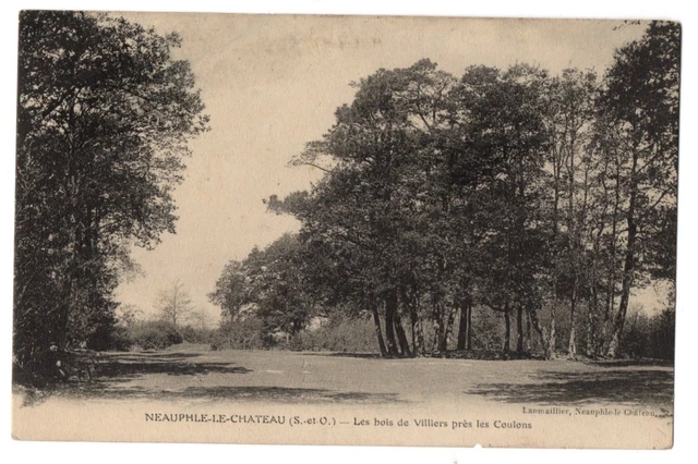 CPA 78 - NEAUPHLE LE CHATEAU (Yvelines) - Les Bois de Villiers near les Coulons