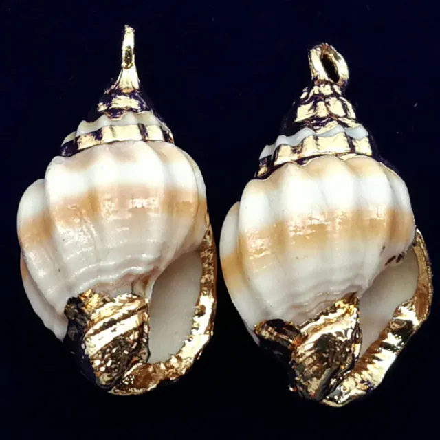 10Pcs 22x12x10mm Natural Gold Plated White Spiral Seashell Conch Pendant A-45BK