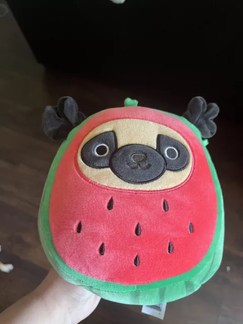 Squishmallows 7.5" PRINCE The Watermelon Pug Dog - Costume Squad Plush. 97 Squishmallows 7.5" PRINCE The Watermelon Pug Dog - Costume Squad Plush. 97