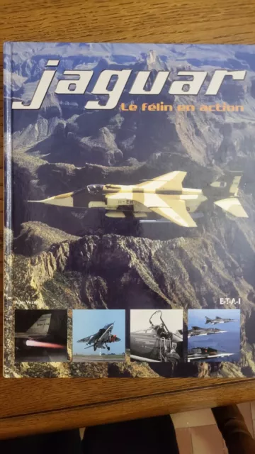 Avion Jaguar. Le Félin En Action. France Armée De L'air. Opex Tchad Guerre