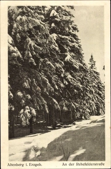 Ak Altenberg im Erzgebirge, an der Rehefelderstraße, Winteransicht - 3766847