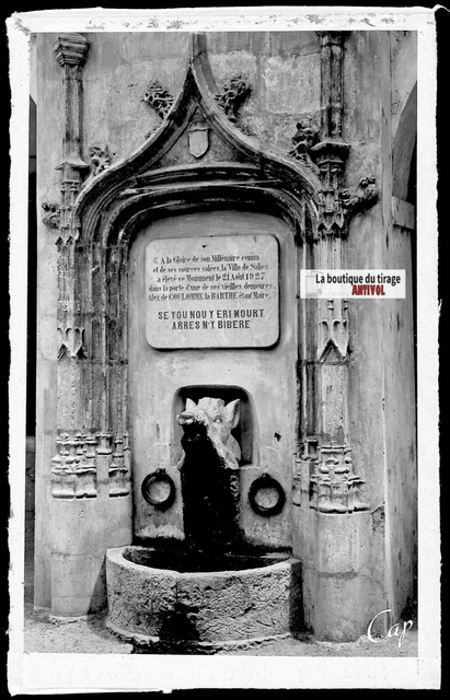 Placa Foto Negativo Negro & Blanco 9x14CM Salies-de-Béarn, Fuente Jabalí