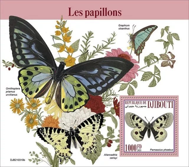 Djibouti 2021 MNH Butterflies Stamps Small Apollo Butterfly 1v S/S