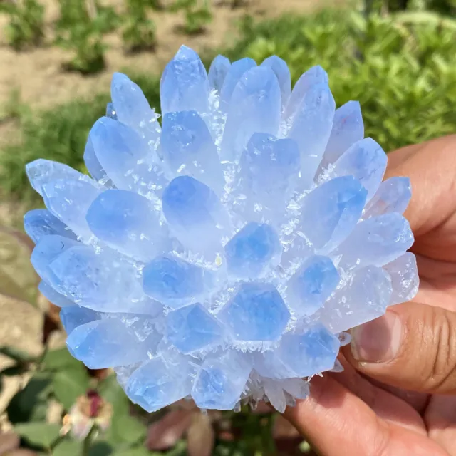 1.25LB New Find sky blue Phantom Quartz Crystal Cluster Mineral Specimen Healing