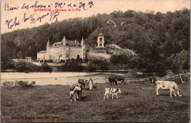 *44508 cpa Liverdun - Château de la Flie