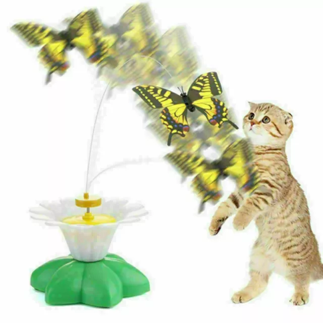 Katzenspielzeug Interaktiver Elektrische Schmetterling Cat Spielzeug Toys Teaser