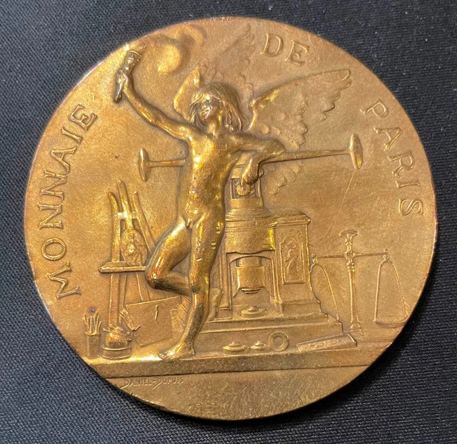 MEDAILLE EN BRONZE LA FRANCE A L'ARC DE TRIOMPHE - MONNAIE DE PARIS EUR