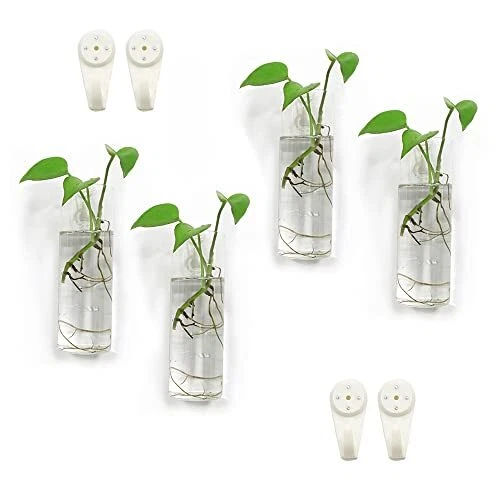 Wall Planters for Indoor Plants,Wall Hanging Terrarium 4 Glass Wall Planter
