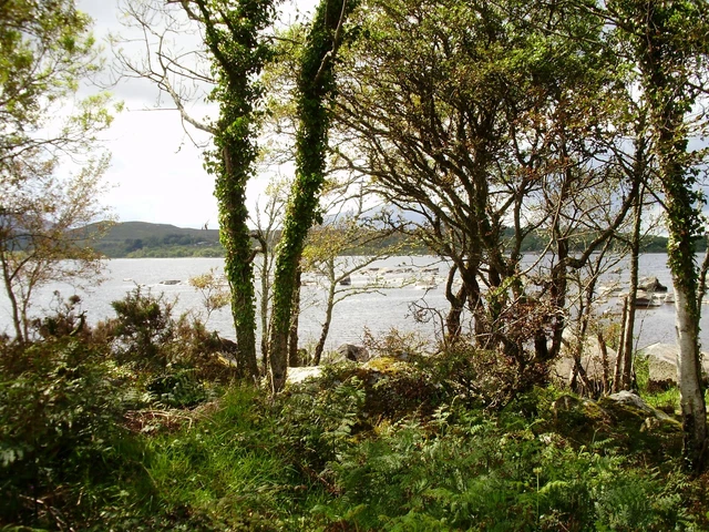 Plot of land for sale in Southern Ireland. 2