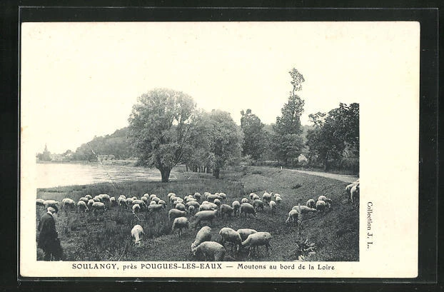 CPA Soulangy, Moutons au bord de la Loire