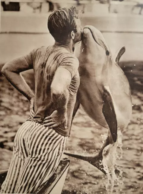 Man Kissing Dolphin Miami Seaquarium Florida Original 1961 ILN ~14.5x10"