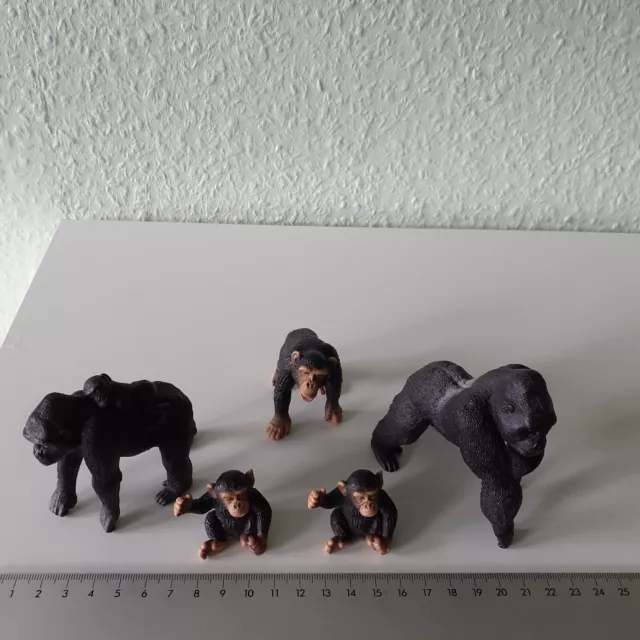 5 Schleichtiere Schimpanse Gorilla Primaten Affen Wildtiere selten rar gut