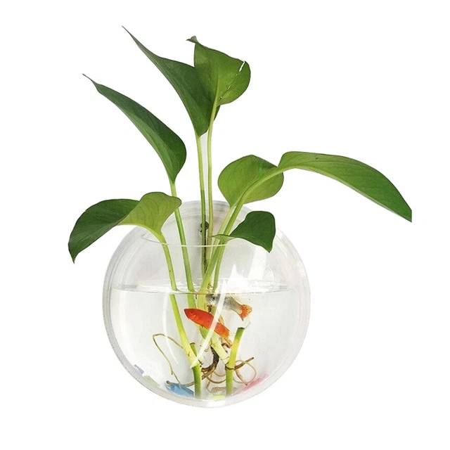 Transparent Wall Mounted Hanging Fish Tank Small Fish Aquatic Plant Potted Plant