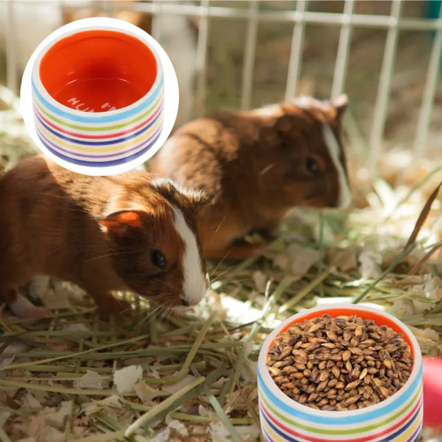 Hamster Food Bowl Reptile Small Animal Feeding Lizard Water Dish Guinea Pig