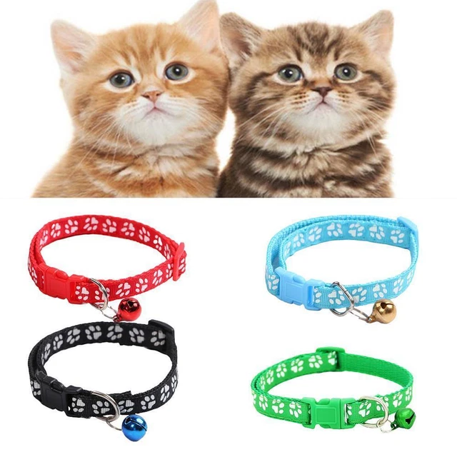 Collare cucciolo cane gatto con motivo impronta campana gattino elegante nylon E6M8