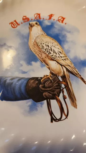 Vintage USAFA Falconry Hawk Kestrel Birds Of Prey Hunting Collectible Plate 10"