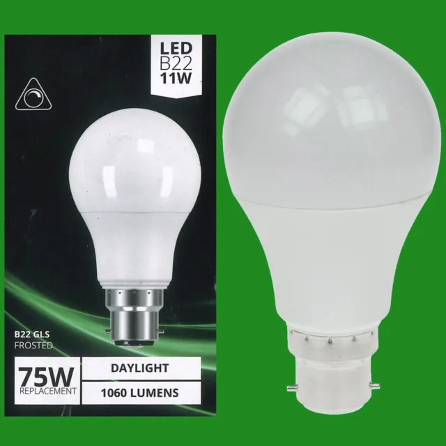 1x 11W Dimmbar LED GLS 6500k Tageslicht Weiß, BC B22 Glühbirnen Lampe