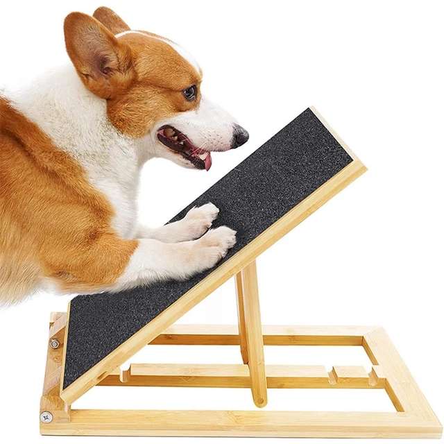 Rampe pour chien Hauteur réglable Rampe en bois pour animaux de compagnie
