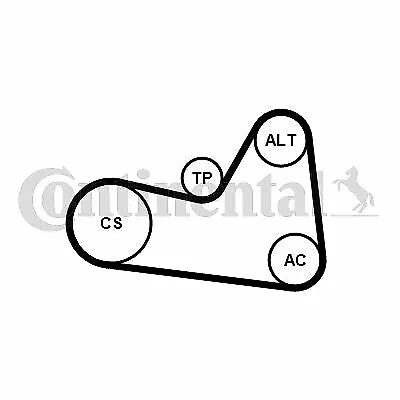 CONTINENTAL CTAM (6PK1026K1) Keilrippenriemensatz für AUDI SEAT SKODA VW