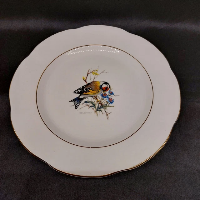 GOLDFINCH FINE BONE China Plate By Rosina China Ltd