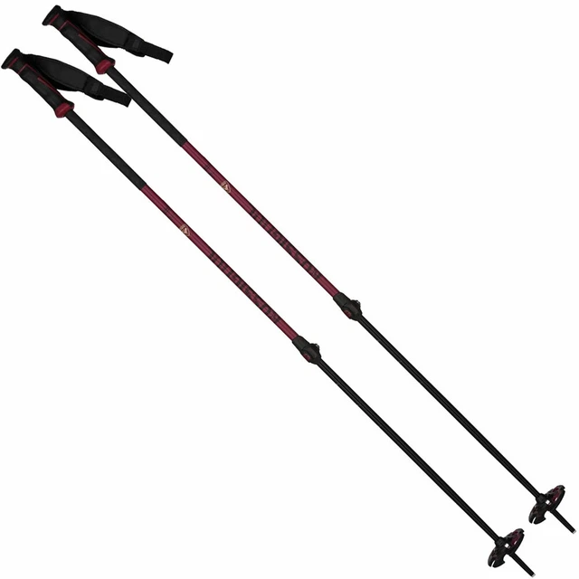Ski d'alpinisme léger avec fixation réglable | Kaufen auf