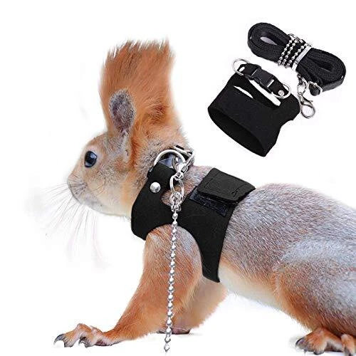 Rope Strap Anti-Biting Chain Rope, Adjustable Vest, Small Animal Walking Harness
