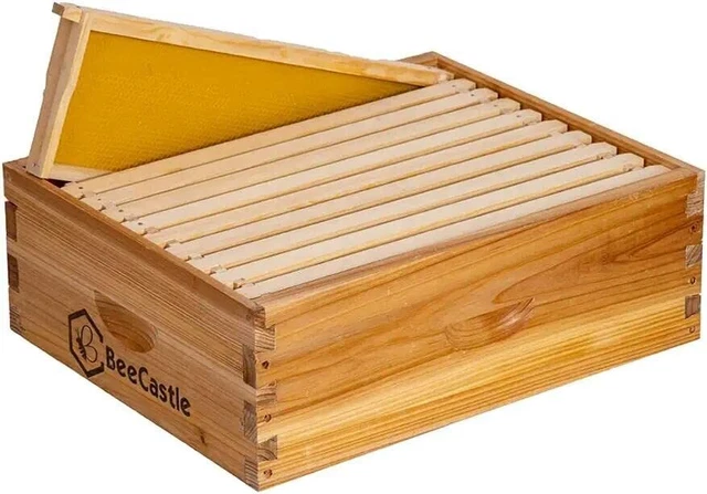 10 Frame Assembled Medium Super Bee Boxes and Frames ＆ Beeswax Coated Foundat...