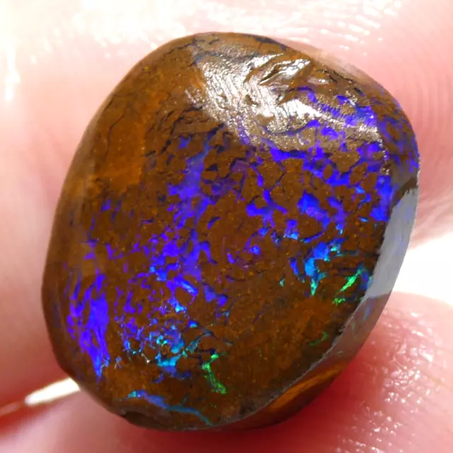 13.60 CT Australian Boulder OPAL Matrix Unpolished Top Gem Rub Video RAW