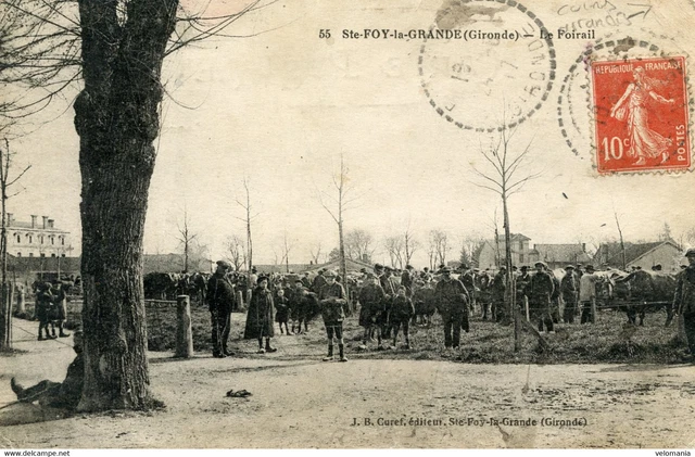 S8396 cpa 33 Sainte Foy la Grande - Le Foirail