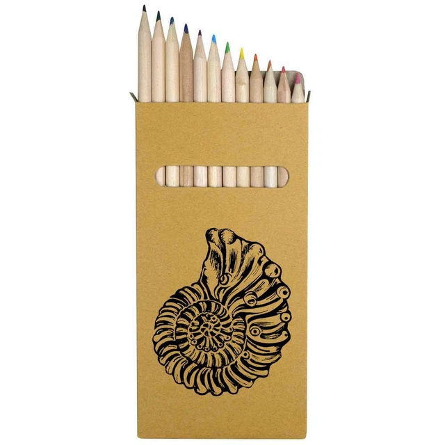12 x 'Ammonit' lang 178 mm Buntstifte/Bleistift-Set (PE00051111)