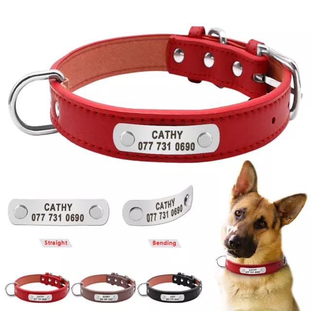 Collare Identificativo Personalizzato Pelle per Cani con Numero di Nome Inciso