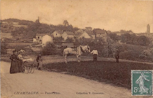 CPA 95 CHAMPAGNE SUR OISE PANORAMA (cpa émaillée  ANIMATION