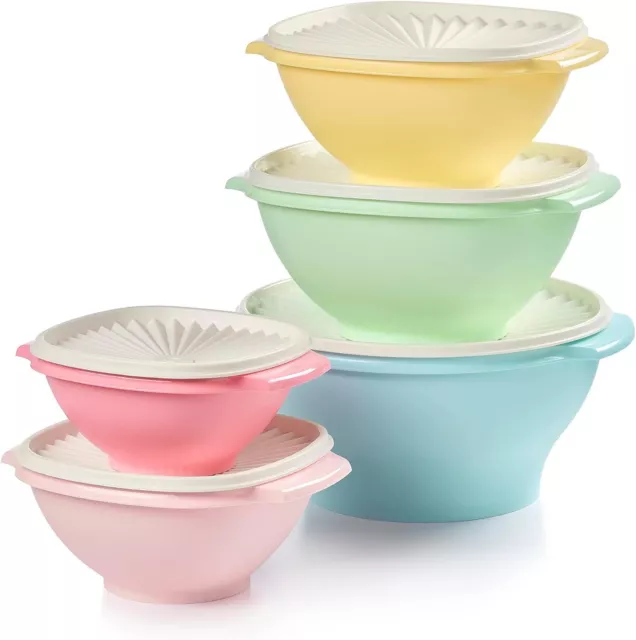 Bowls Set Of 5 And 5 Lids 10 Piece Food Storage Container Set In Vintage Colors